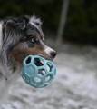 jw-pet-azurka-L-blekit.JPG