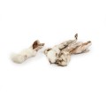 meatstuff-ucho-krolika-z-futrem.jpg
