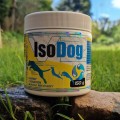 game_dog_isodog.jpg