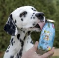 SMOOTHIE-DOG-Pool-Pawty-krolik-z-warzywami-i-owocami-edycja-letnia.jpg