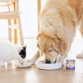 perroland_soups_wolowina_bulion.png