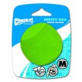 Chuckit Erratic Ball M.jpg