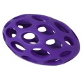 JW Pet Hol-ee-football M fiolet 1.jpg