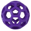 JW Pet Hol-ee-Roller S fiolet.jpg