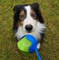 wyrzutnia i Erratic Ball .jpg