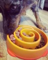 miska-spowalniajaca-dla-psa-fun-feeder.jpg