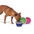 silicone-travel-bowl-miska-silikonowa-dla-psa.jpg