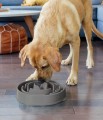 Fun-feeder-miska-spowalniajaca-szara-dla-psa.jpg