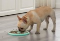 outward-hound-fun-feeder-miska-taca-slo-dry.jpg