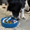 SodaPup-wave-ebowl-blue-miska-spowalniajaca-dla-psa.jpg