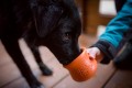 WEST-PAW-Zogoflex-Toppl-kieszonkal-zabawka-dla-psa-rozmiar-L.jpg
