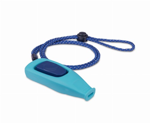 Coachi_Whizzclick-LightBlue.jpg