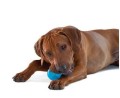 petstages-orka-pilka-mleczna-zabawka-dla-psa.jpg