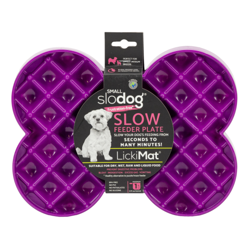 slodog_small_miska_dla_psa_fiolet.png