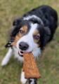 db-happy-dog-szarpak-skorzany-dla-psa.jpg