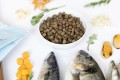 YDOLO-Wild-Fish-ryby-morskie-karma-polwilgotna-pies.jpg