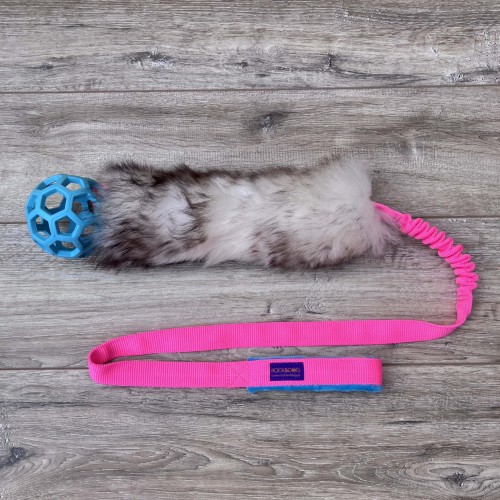 rock_and_dog_szarpak_dla_psa_z_azurka_jwpet_neon-roz