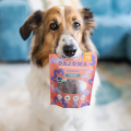 perro-trenerki-daj-dwa-konina-dla-psa.png