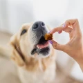 perro-bon-bon-przysmaki-funkcyjne-dla-psa.webp